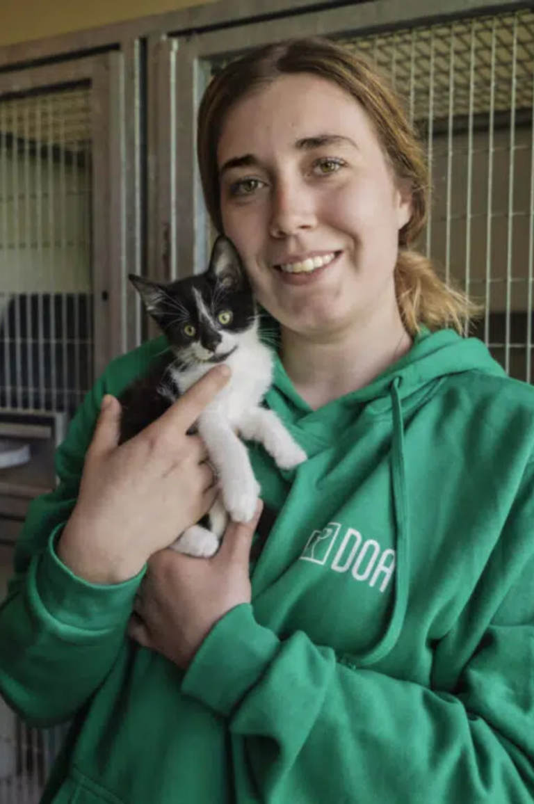 kitten adopteren blog