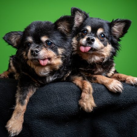 NvG - 20251112 - 217-92