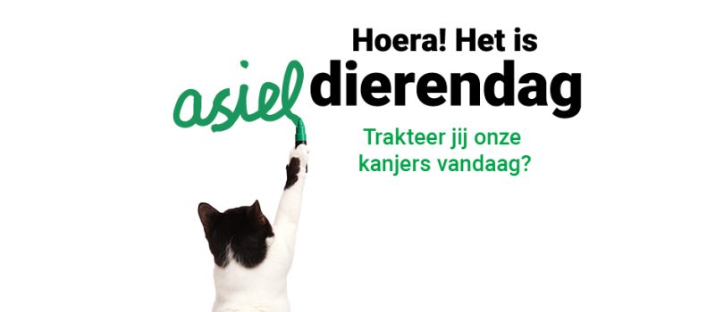 asieldierendag 2025_V032 (1)